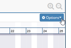 Image: kb-204335386-Gantt_options.png